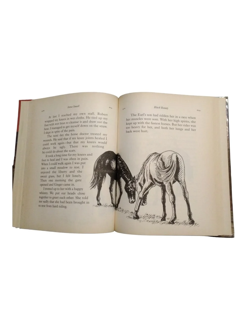Classic Children's Stories Hardcover Set - Red Covers